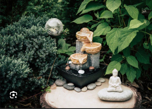 Zen den package(Monthy)