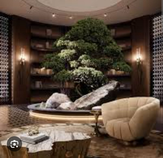 Luxury Monthly Package